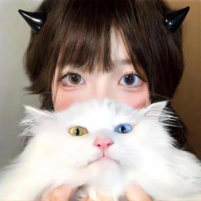 神秘博士第十一季